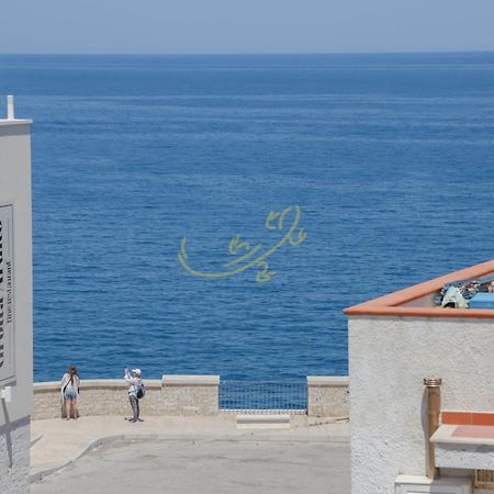Td Casa Marevino Seaside Terrace With Panoramic Views Villa Polignano a Mare Exteriör bild